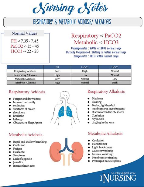 Respiratory and Metabolic Acidosis Alkalosis | Etsy