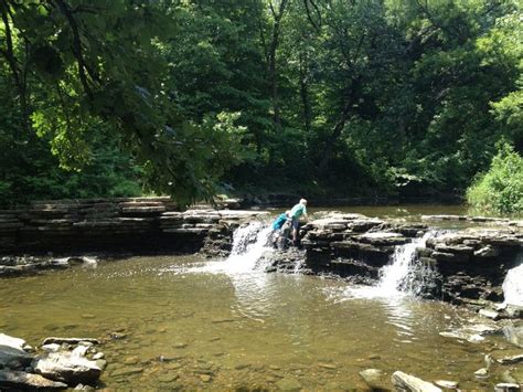 Waterfall Glen Forest Preserve Forest Preserve Waterfall Chicago Travel