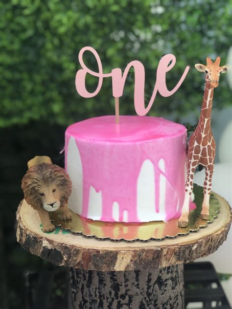 Girlie Safari First Birthday Party Birthday Party Decorations