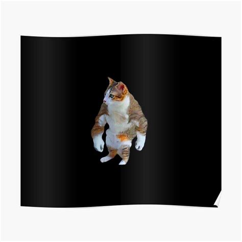 Buff Cat Meme Posters | Redbubble