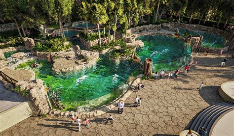 Planning a trip to River Bank Zoo is easier with this app 3