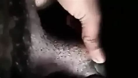 免费的 Indian Gay Handjob 色情视频 xHamster