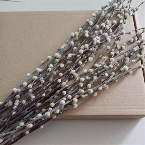 25 PCS Dry Pussy Willow Stemsletter Box Dried Flowers Easter Etsy