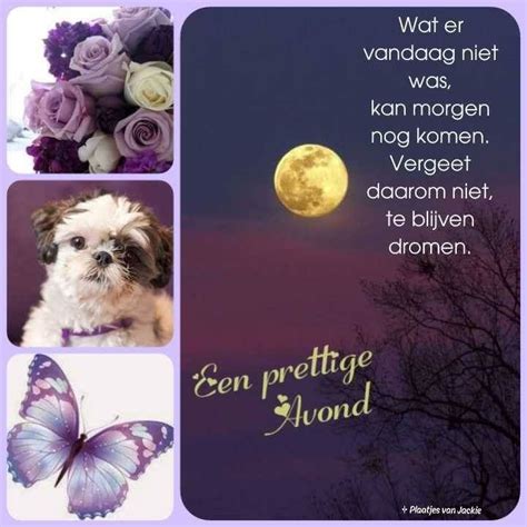 Pin Van Nadine Couwels Op Gedichten Goedenavond Goede Nacht Goedemorgen