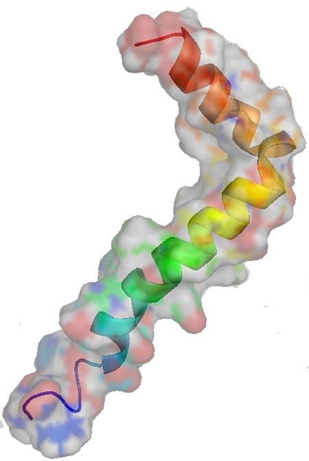 Possible New Function for Protein Associated With Alzheimer's Disease ...