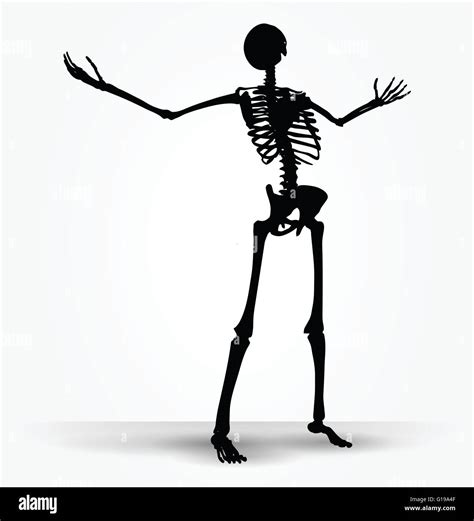 Vector Image Skeleton Silhouette In Power Pose Isolated On White