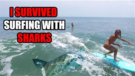 SURFING WITH SHARKS | SHARK BITE CAPITAL OF THE WORLD - YouTube