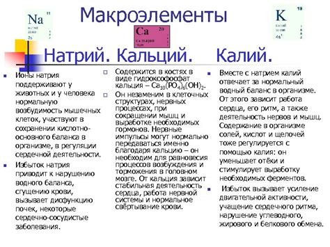 Na Mg Kс Металлы которые всегда тобой Ca