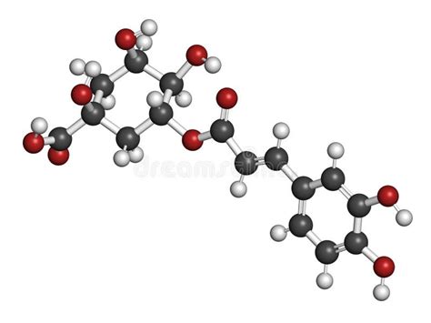 Chlorogenic Acid Stock Illustrations 18 Chlorogenic Acid Stock