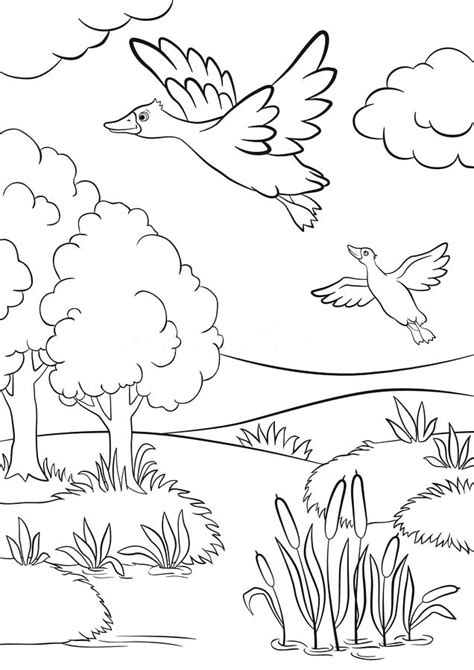 Grassland Coloring Page At Getdrawings Free Download