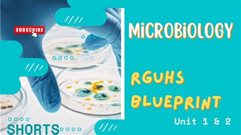 Rguhs Blueprint Microbiology Unit Solved Answer For St Yrs B Sc