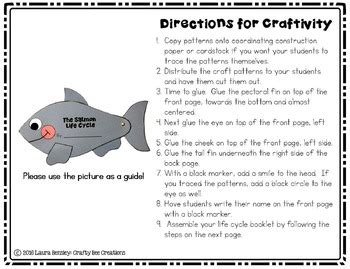 Salmon Life Cycle Craft Freshwater Ocean Activities Life Cycle Of