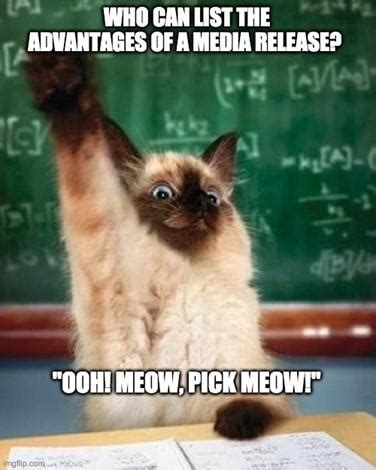 news media release meme  blog uk education blog