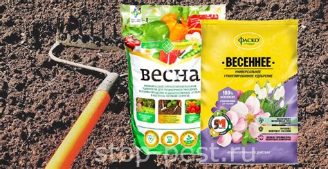 Чем помыть изнутри теплицу из поликарбоната весной: 11 эффективных ...