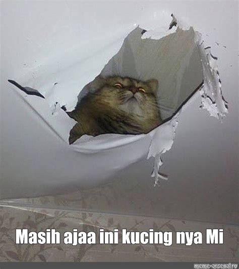 meme  ajaa  kucing  mi  templates meme arsenalcom
