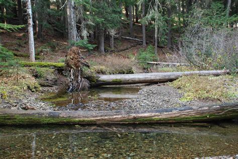 silver creek western rivers conservancy