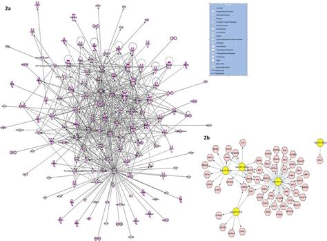 Integrated target gene network based on functional clustering of ...
