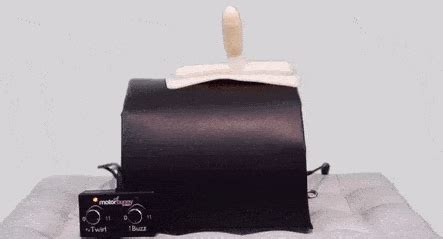 Best Sex Machines Vibrating Automatic Thrusting Dildo Machines Bedbible