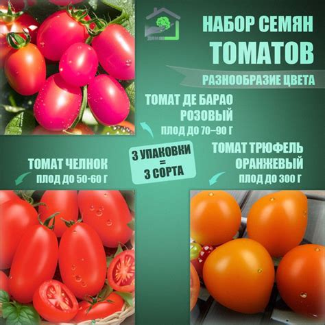 Томаты Томаты - купить по выгодным ценам в интернет-магазине OZON ...