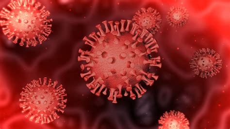 Coronavirus Animated With After Effect Project 3d Model By Yassine Helal