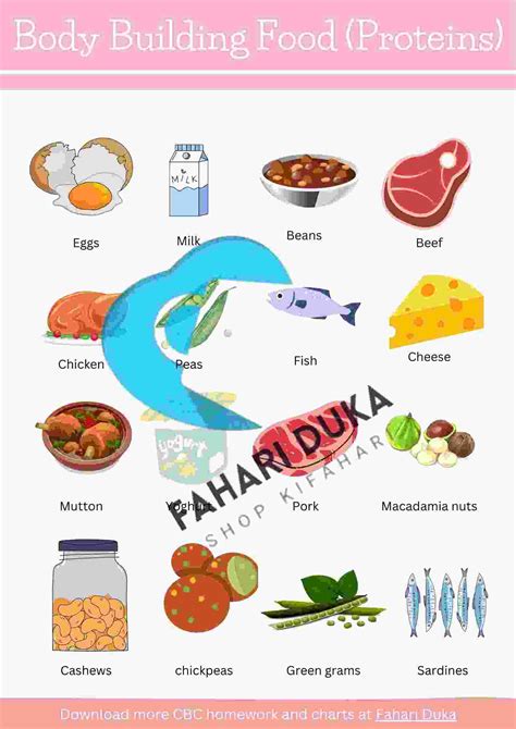 Are Body Building Foods Essential For Muscle Growth