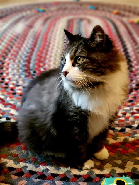 Best Tinkerbell Naked Images On Pholder Crochet Cosplaybabes And Nsfwcosplay