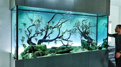 Fish Aquarium Decorations Aquarium Setup Nano Aquarium Nature