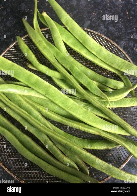 runner bean collection stock photo alamy