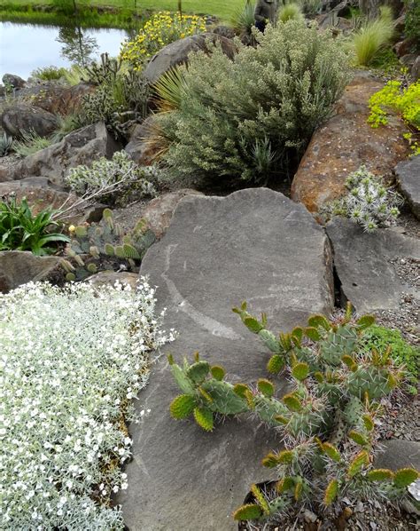 Experts explain the rare plant species at roundstone garden centre littlehampton 23