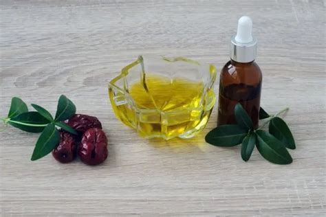 Beneficios Y Usos Del Aceite De Jojoba Para Tu Belleza Cocina Delirante