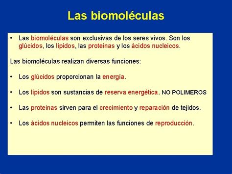 Caractersticas De Las Biomolculas Agua Carbohidratos Y Lpidos