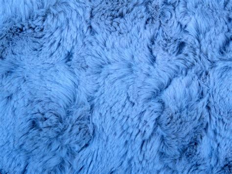 Blue Fur Background Free Stock Photo Public Domain Pictures