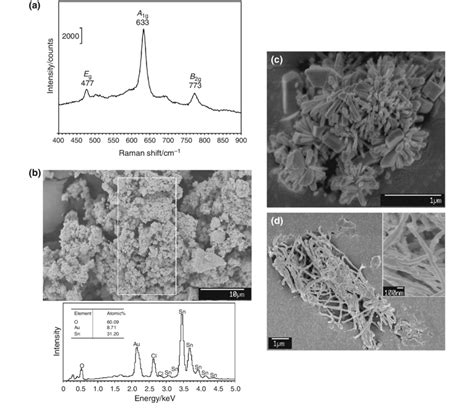 A Raman Spectrum And B SEM Micrograph And The EDX Analysis Of The SnCl