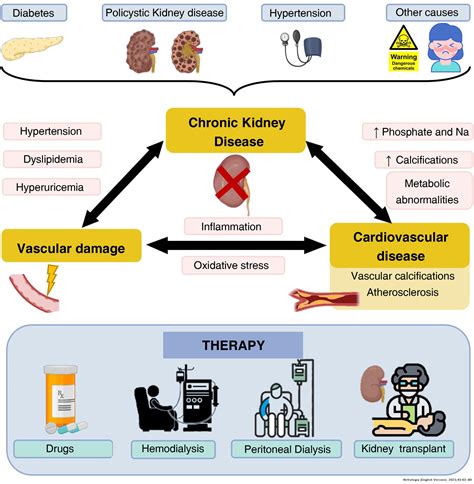 New mechanisms involved in the development of cardiovascular disease in