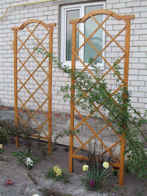 Шпалера своими руками