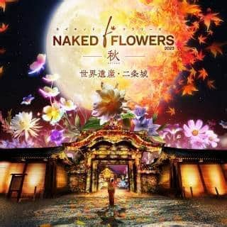 NAKED Flowers Nijō Castle Autumn Late OctEarly Dec Japan Cheapo