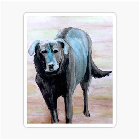 Sadie Sticker For Sale By Meganemer4 Redbubble