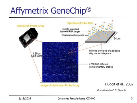 affymetrix  bioconductor powerpoint