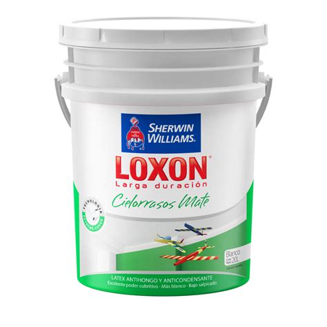 Latex Cielorrasos Sherwin Williams Loxon LD 20 Litros