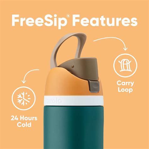Buy Owala FreeSip Insulated Stainless Steel Water Bottle with Straw for ...