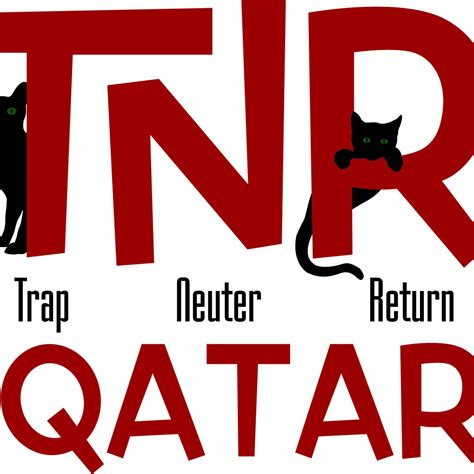 TNR Qatar - If you feed please TNR. Curb the numbers... | Facebook