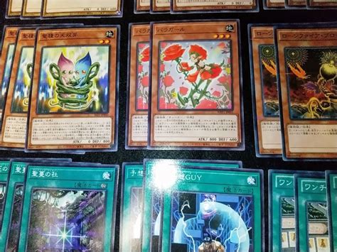 ヤフオク 【遊戯王】聖天樹（サンアバロン） 40枚ex15枚