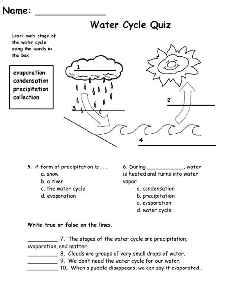 Water Cycle Quiz Worksheet For Science Practice