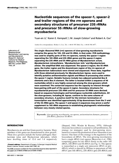 Pdf Nucleotide Sequences Of The Spacer 1 Spacer 2 And Trailer Regions Of The Rrn Operons And