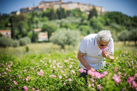De Grasse ! (Les mythos du parfum) – La Parfumerie Podcast