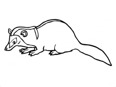 Weasel Coloring Pages Coloringbay