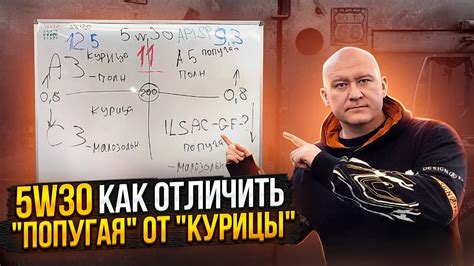 Как различаются масла? | Подобрать масло самостоятельно - YouTube