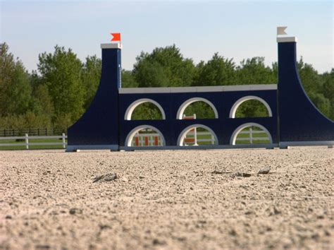 LARGO Sp. z o.o. – Stajnia – Pensjonat – Klub Sportowy