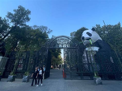 Festival Del Bosque De Chapultepec 2023