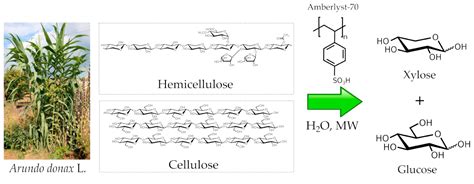 Catalysts Free Full Text Multi Step Exploitation Of Raw Arundo